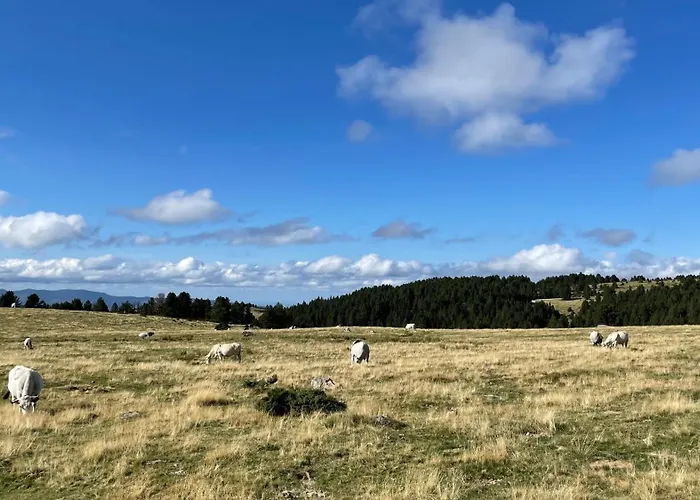 Les Années - Maison De Famille - Plateau De Beille